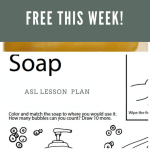 Soap ASL Lesson Plan Free this week