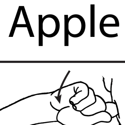 Wall Chart - Apple