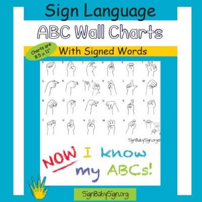 Wall Chart Books