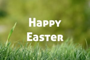 grass, Easter ASL