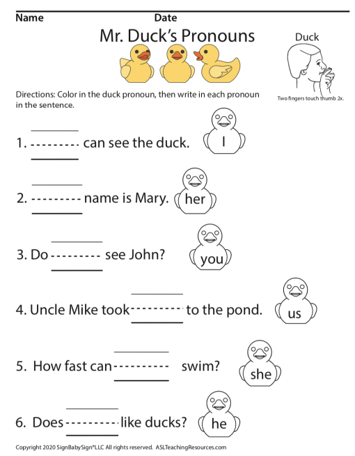 Mr. Duck's Pronouns - Image 3