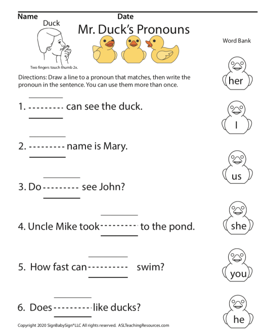 Mr. Duck's Pronouns - Image 4