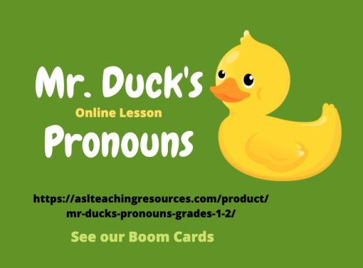 Mr. Duck's Pronouns