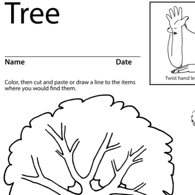 Tree 2 Lesson Plan Screenshot Sign Language