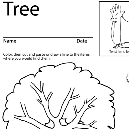 Tree 2 Lesson Plan Screenshot Sign Language