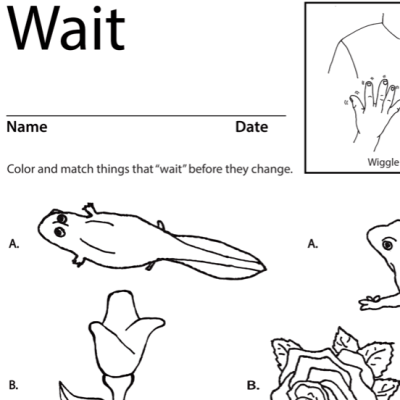 Wait Lesson Plan Screenshot Sign Language