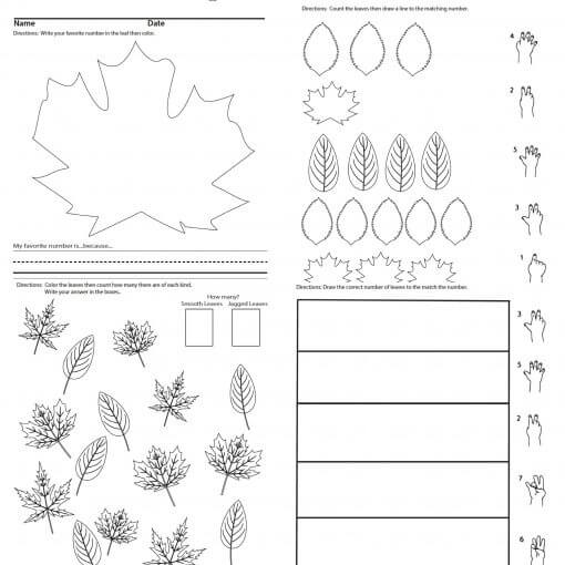 Leaf Counting