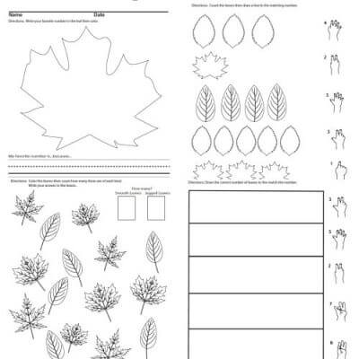 Leaf Counting