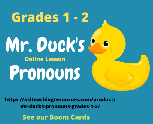 Mr. Duck's Pronouns Grades 1-2