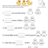 Mr. Duck's Pronouns Grades 1-2 - Image 2