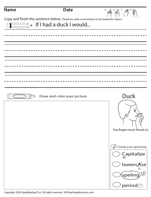 Mr. Duck's Pronouns Grades 1-2 - Image 4