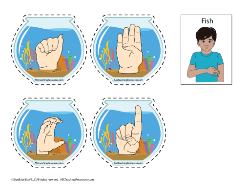 abc-matching-fish