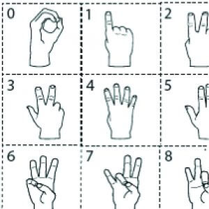teaching-numbers-0-50-1