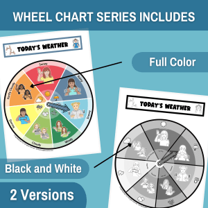 weather-spinner-chart-description