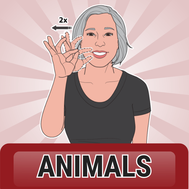 animals sign language