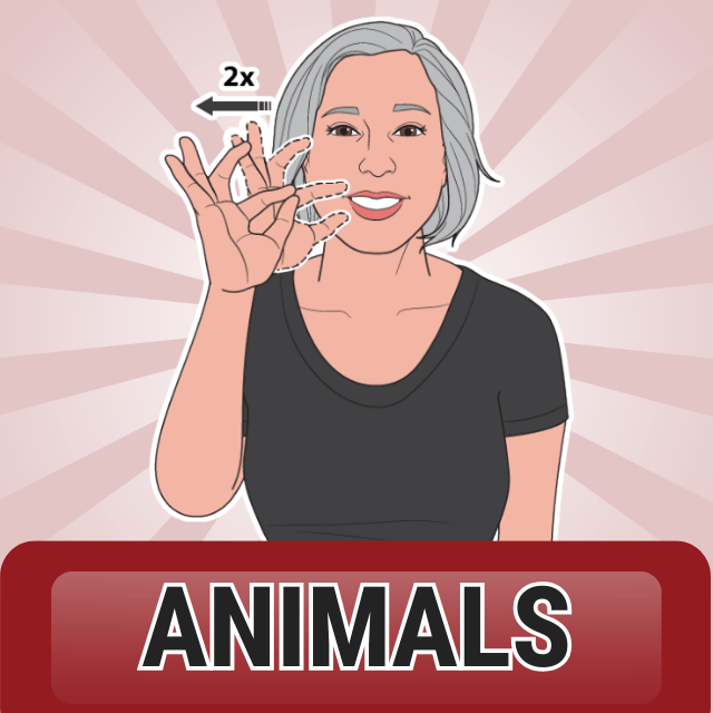 animals sign language resources