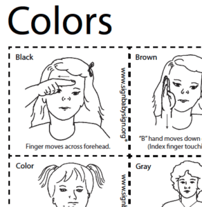 Colors Sign Language Flash Cards