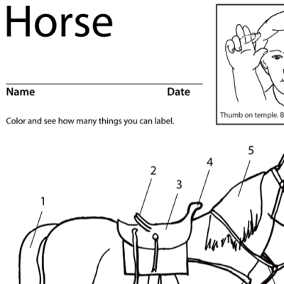 Horse Lesson Plan Screen Shot Sign Language