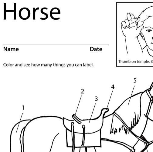 Horse Lesson Plan Screen Shot Sign Language