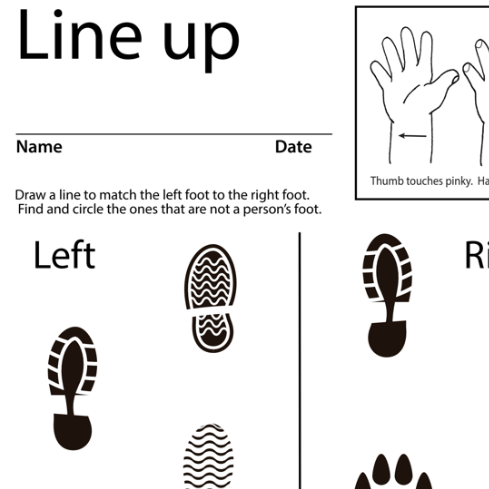 Line Up Lesson Plan Screen Shot Sign Language