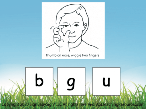 Outdoors Printable Flashcards - ASL Teaching Resources